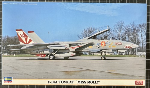 Hasegawa 14a tomcat - f-14a,
