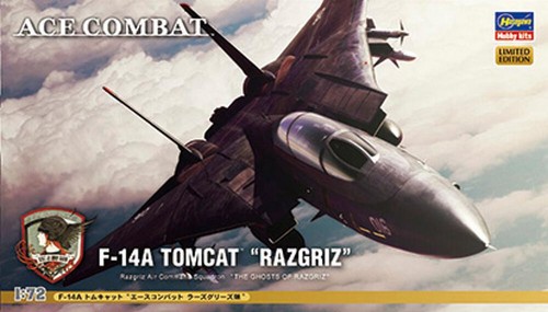 Hasegawa sp313 72 ace - ,