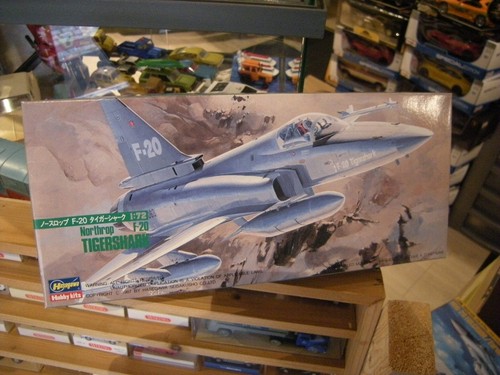 Hasegawa 604 northrop - nr.604,